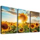 Shangniulu Wall Art Sunset Sunflower Picture Canvas Print Nature Landscape Paintings Wall Decor Yellow Flowers Botanical Poster Framed Floral Artwork for Living Room Bedroom Office Home Decor