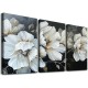 Shangniulu Flower Canvas Wall Art White Elegant Flower Canvas Modern Picture for Living Room Bedroom Bathroom Dining Room Home Office Decorative Paintings