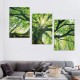 Shangniulu Forest Canvas Art, Green Wall Art Modern Rustic Natural plant Picture Print for Wall Decor, Landscape Artwork Home Living Room Framed Decoration Ready to Hang